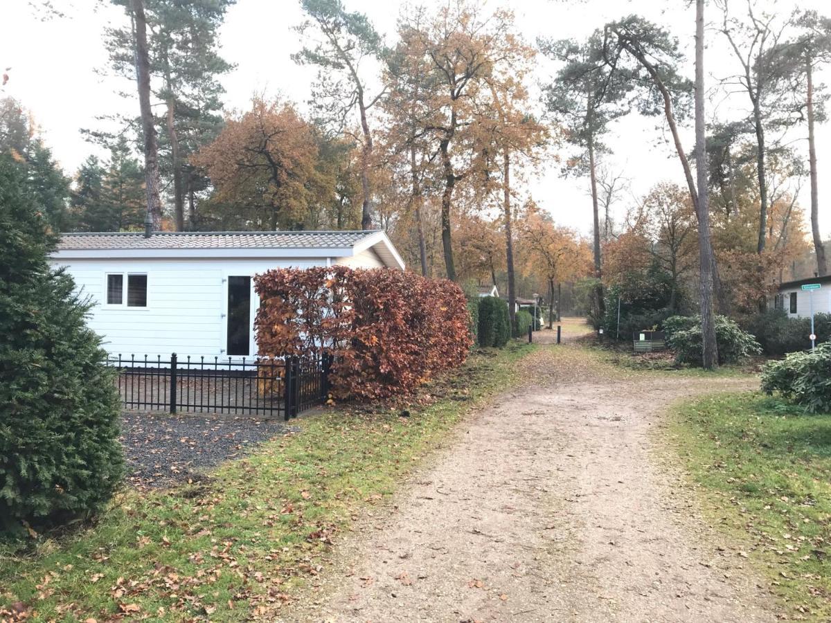 Chalet Bosrand 42 Park Veluwshof 6 P Hoenderloo Exteriör bild